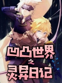 狼导航跳转视频